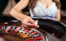 Tampilan dashboard multi-olahraga bitung4d dengan menu permainan dan panduan pasar